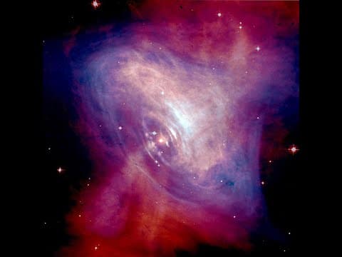 The Primordial Supernova and the Missing Mass Extinctions thumbnail