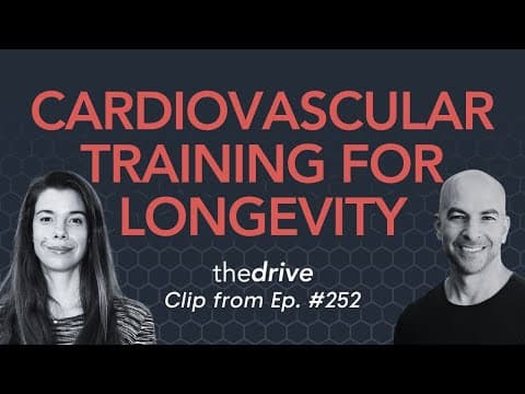 How to Combine Low and High-Intensity Cardio for Longevity thumbnail