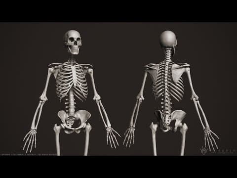 Human Osteology (Axial and Appendicular Skeleton) thumbnail