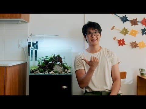 Relaxing Planted Tank Setup | Aquarium build thumbnail