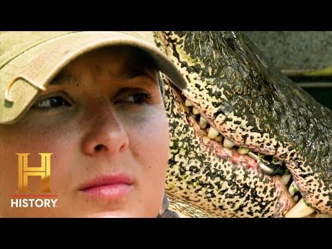 Swamp People: King of the Swamp Needs to Fill 900 Tags! (S15) | History thumbnail