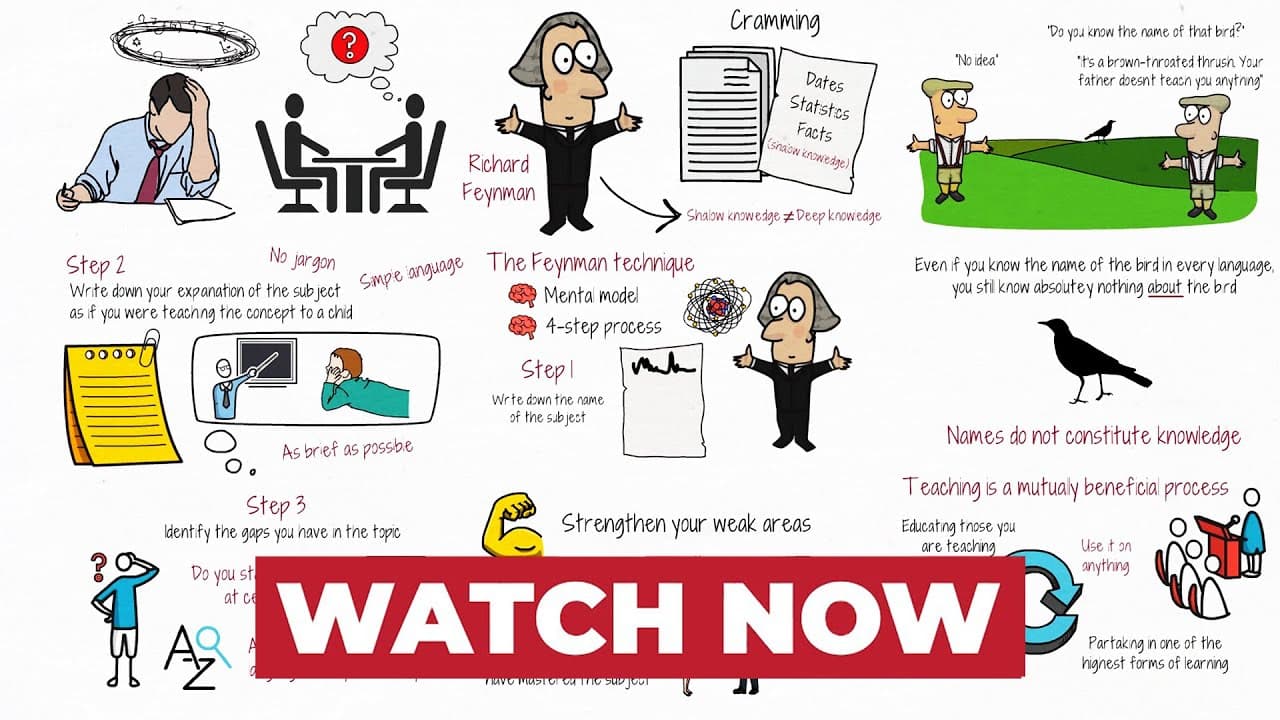 YouTube video player