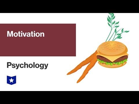 What Drives Human Motivation: Biology and Beyond? thumbnail