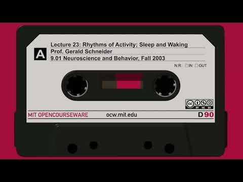 Lecture 23: Rhythms of Activity; Sleep and Waking thumbnail
