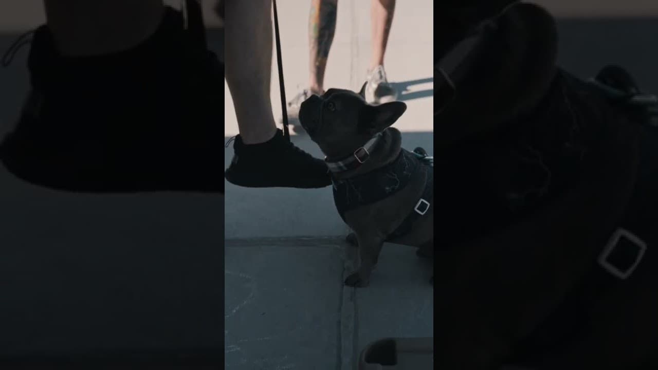 YouTube video player