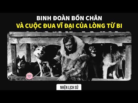 Cuộc đua huyết thanh: Chó kéo xe cứu thị trấn thế nào? thumbnail