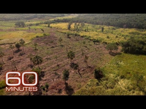 Earth currently experiencing a sixth mass extinction, according to scientists | 60 Minutes thumbnail