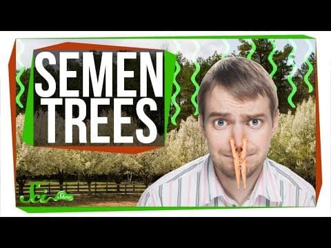 Why Do We Keep Planting Trees That Smell Like Semen? thumbnail