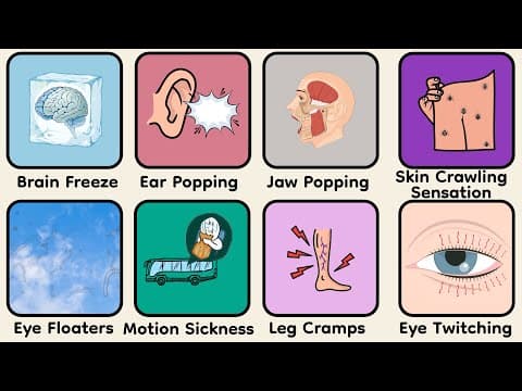 Every Body Glitch Explained thumbnail