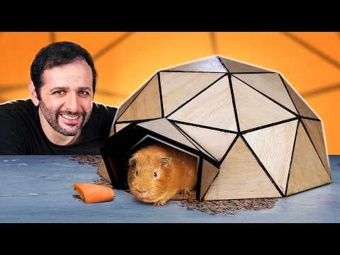 Como construir uma casinha geodésica para pets thumbnail