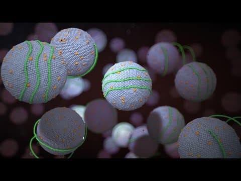 High Cholesterol | Nucleus Health thumbnail