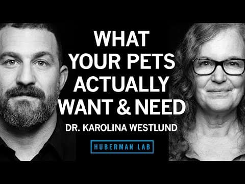 What Pets Actually Want & Need | Dr. Karolina Westlund thumbnail