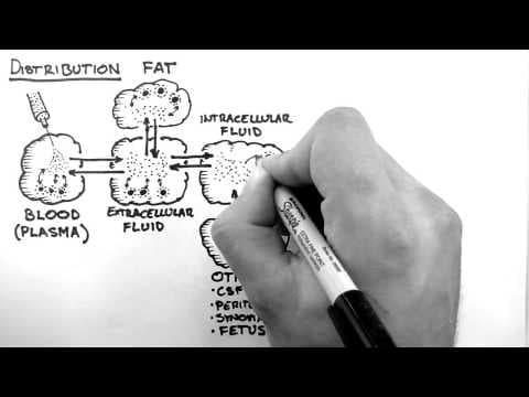 Pharmacokinetics 3 - Distribution thumbnail