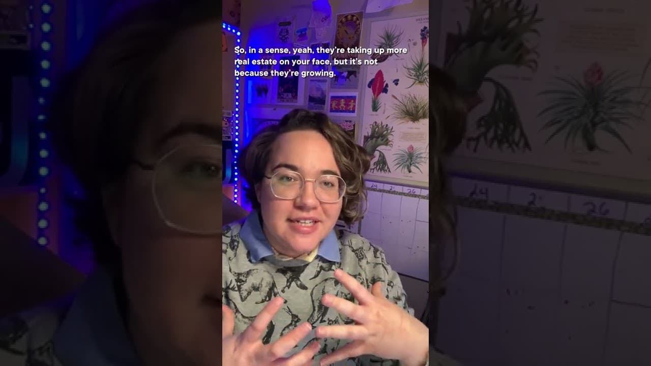 YouTube video player