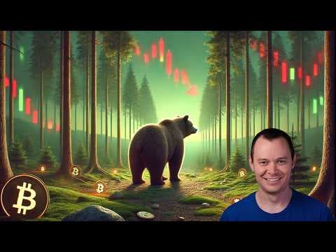 Bitcoin: Dubious Speculation thumbnail