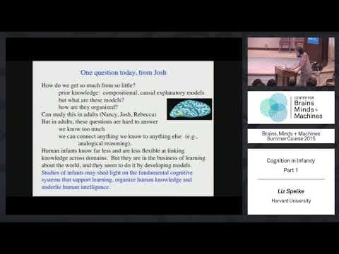Lecture 3.1: Liz Spelke - Cognition in Infancy (Part 1) thumbnail