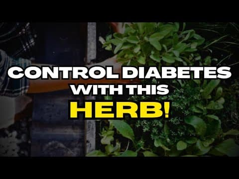 The #1 Best Herb For Diabetes And Here’s How To Use IT thumbnail