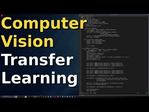 How To Do Transfer Learning For Computer Vision | PyTorch Tutorial thumbnail