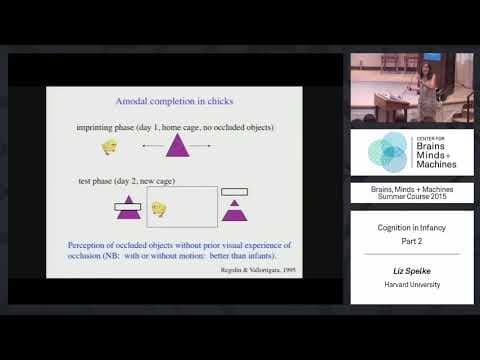 Lecture 3.2: Cognition in Infancy, Part 2 thumbnail