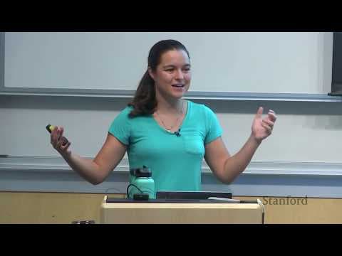 What Are the Basics of Multi-Task Learning? thumbnail