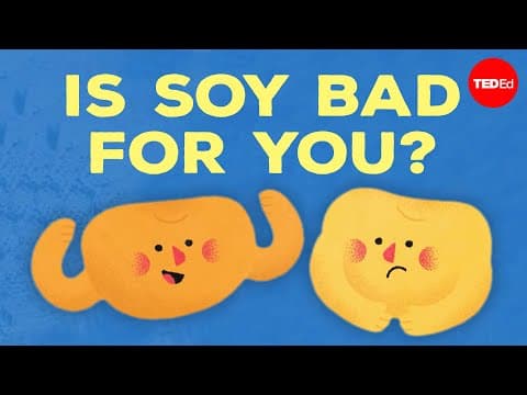 The ingredient in almost everything you eat - Francesca Bot thumbnail