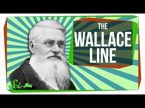 What Is the Wallace Line and Why Is It Important? thumbnail