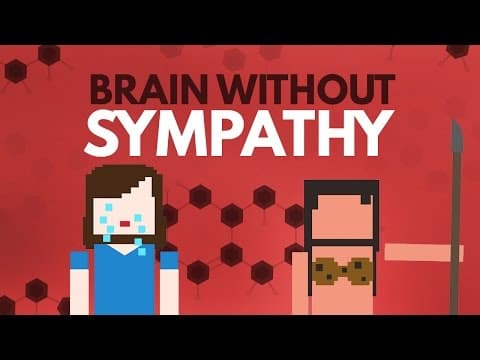 What Causes Lack of Sympathy and Empathy in Humans? thumbnail