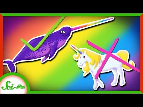 What Are Real-Life Unicorns and Their Unique Horns? thumbnail