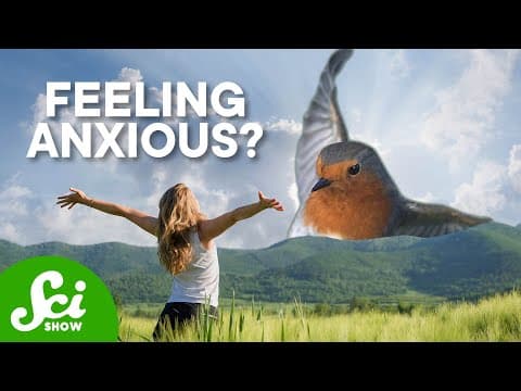 Can Listening to Birds Reduce Anxiety and Improve Mental Health? thumbnail