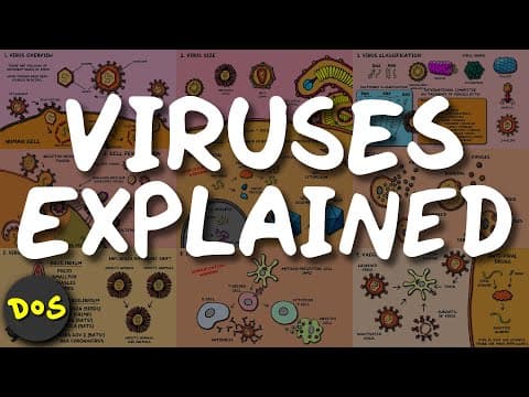 VIRUSES Explained in 9 Slides thumbnail
