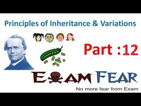 Biology Inheritance Principle part 12 (Mendel's law of dominance & segregation) class 12 XII thumbnail