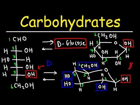 Carbohydrates - Haworth & Fischer Projections With Chair Conformations thumbnail