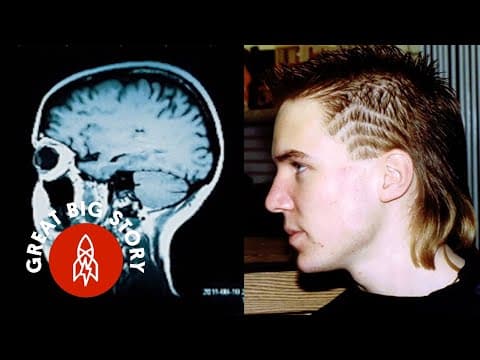 Meet the Accidental Genius thumbnail