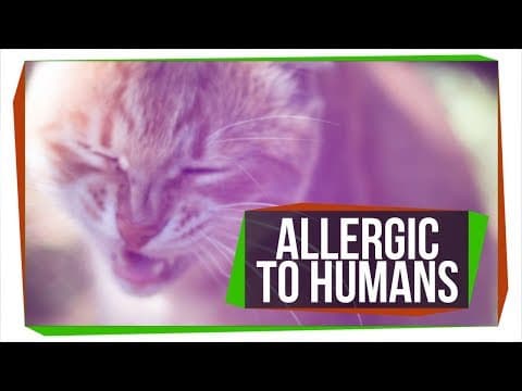 Can Pets Be Allergic to Human Dander? thumbnail