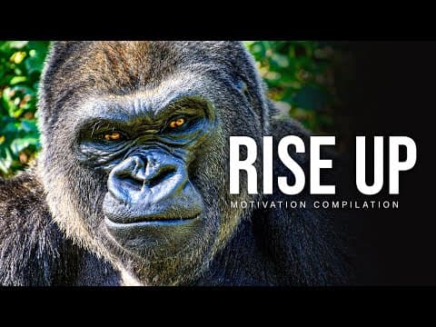 RISE UP - Best Motivational Speech Video Compilation | 30-Minutes of the Best Motivation thumbnail