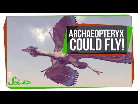 The First Known Bird Could Fly, But Super Awkwardly thumbnail