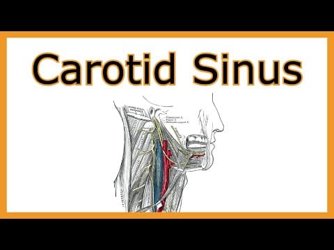Carotid Sinus Hypersensitivity thumbnail