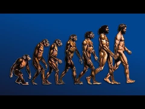 William Von Hippel - How We Evolved | Modern Wisdom Podcast 041 thumbnail