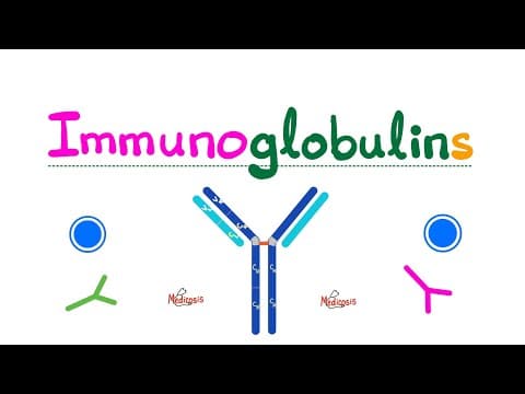 Antibodies (Immunoglobulins) - IgG, IgM, IgA, IgE, IgD - Gamma Globulins - Humoral Immunity - Immuno thumbnail