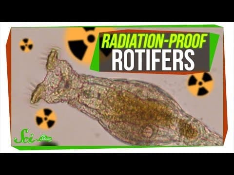 Bdelloids: The Most Hardcore Animals in the World? thumbnail