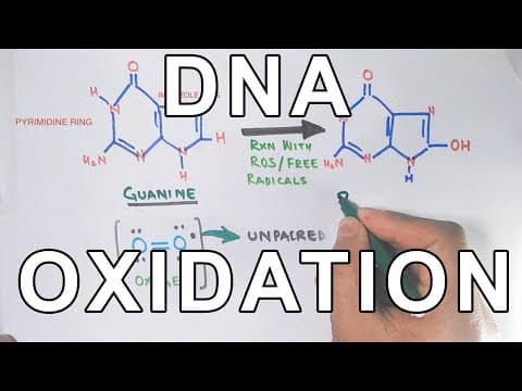 DNA Oxidation | DNA Damage by ROS thumbnail