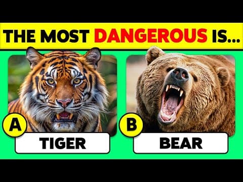 🧠 How Well Do You Know ANIMALS? 🦁🐻🐳 45 Animals Knowledge Trivia Quiz thumbnail
