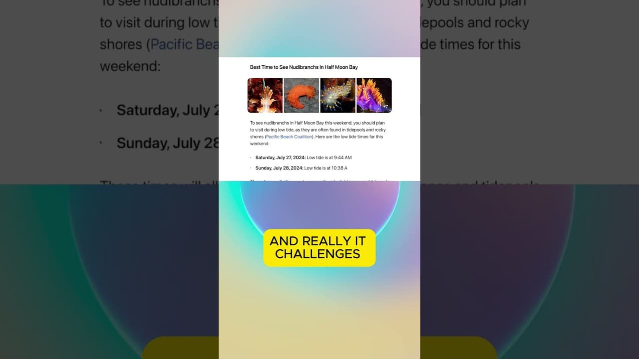 YouTube video player