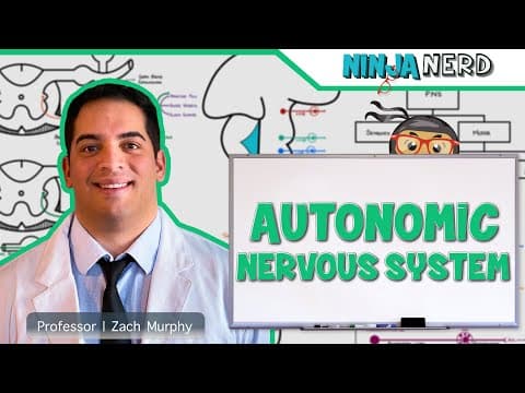 What Is the Autonomic Nervous System and Its Functions? thumbnail