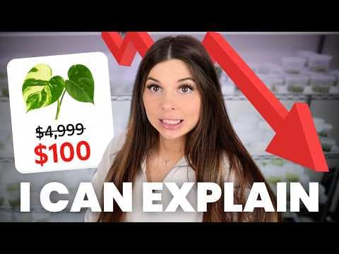 I accidentally crashed the rare plant market thumbnail