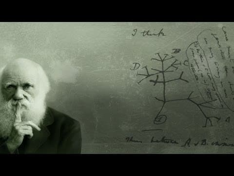 Is Man Just Another Animal? - Professor Steve Jones thumbnail