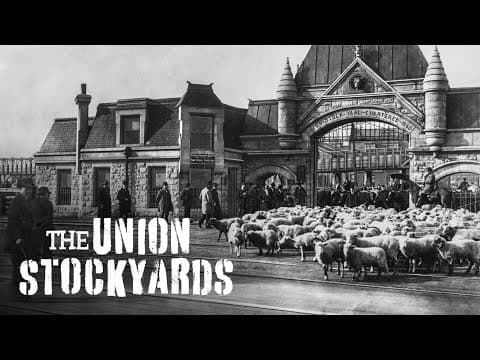 The Union Stockyards — A Chicago Stories Documentary thumbnail