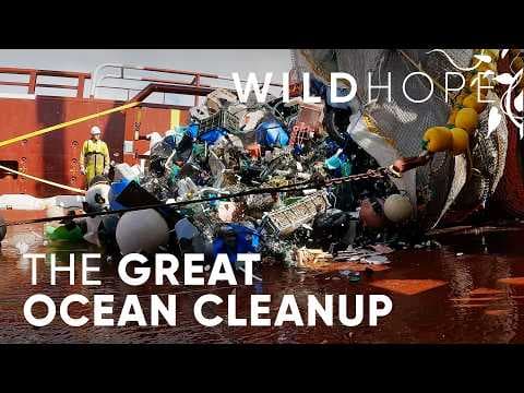 Can Boyan Slat Stop Plastic Pollution at its Source | WILD HOPE thumbnail