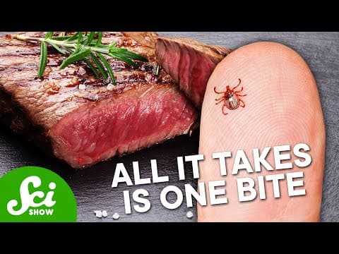 Ticks Can Spread An Allergy To… Red Meat? thumbnail