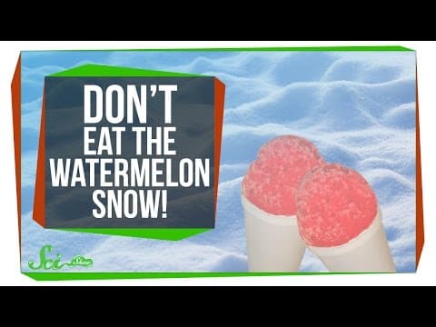 What Is Watermelon Snow and Why Is It Pink? thumbnail